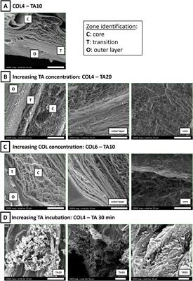 Enabling 3D bioprinting of cell-laden pure collagen scaffolds via tannic acid supporting bath